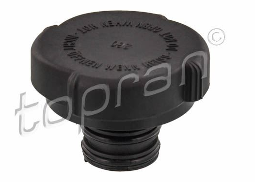 Bmw Radyatör Kapağı M43 E46 17117639022