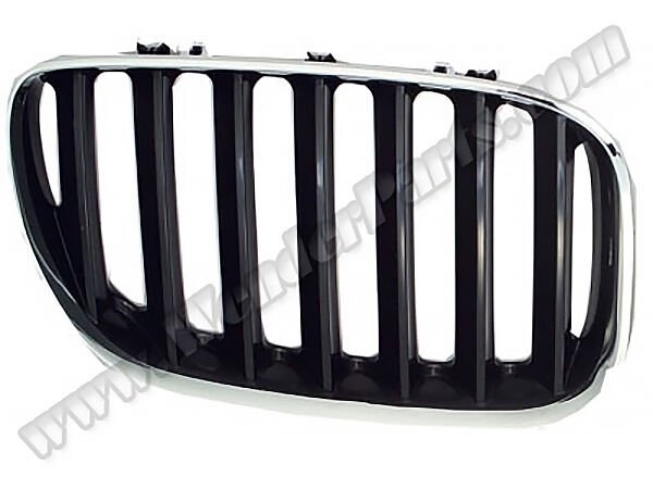 Bmw Panjur X5 E53 Sağ Krom/Siyah 2004-06 51137113734