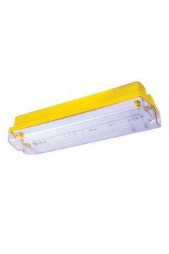 Pelsan Ausled (3 Saat) Sıva Üstü 15W 6500K IP65 Acil Aydınlatma - 109710