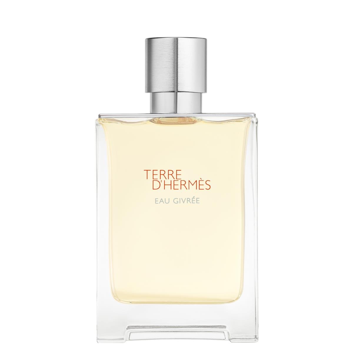 Terre d'Hermès Eau Givrée, Eau de Parfum 100 ml