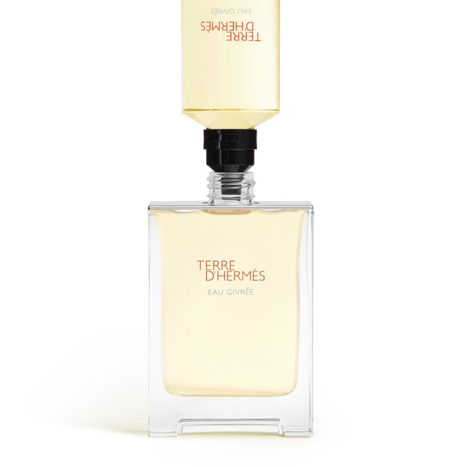 Terre d'Hermès Eau Givrée, Eau de Parfum 100 ml