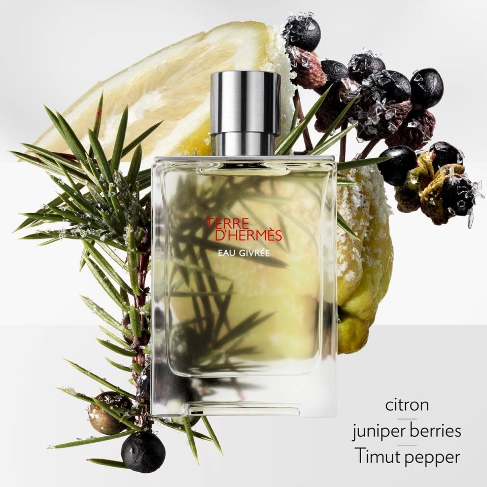 Terre d'Hermès Eau Givrée, Eau de Parfum 100 ml