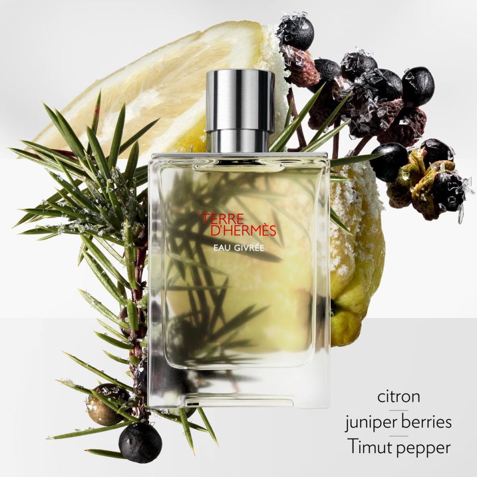 Terre d'Hermès Eau Givrée, Eau de Parfum 175 ml