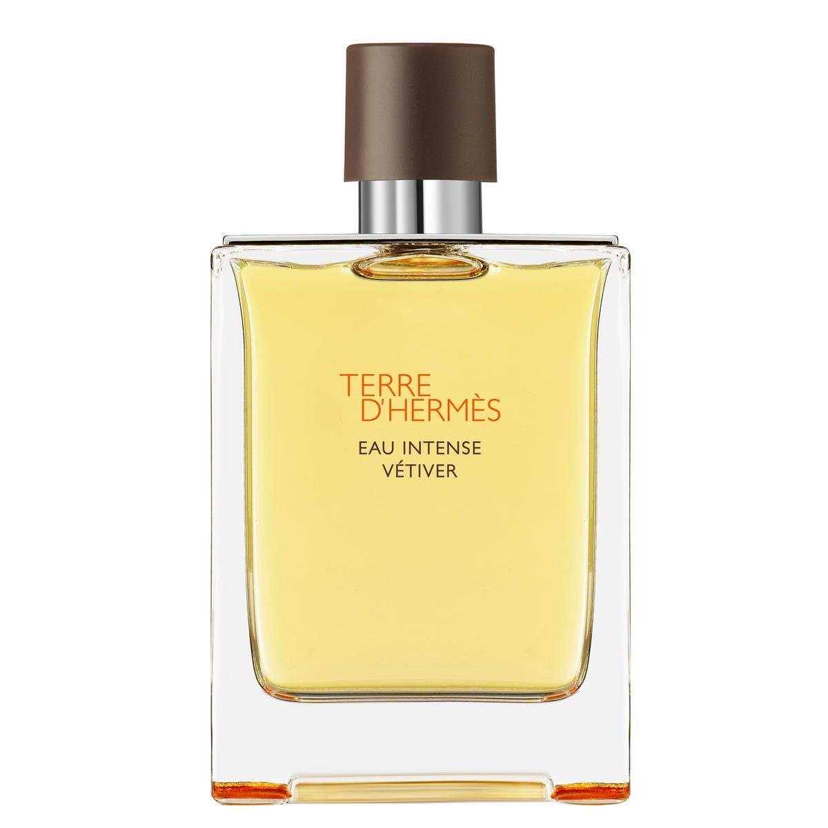 Terre d'Hermès Eau Intense Vétiver, Eau de Parfum 200 ml
