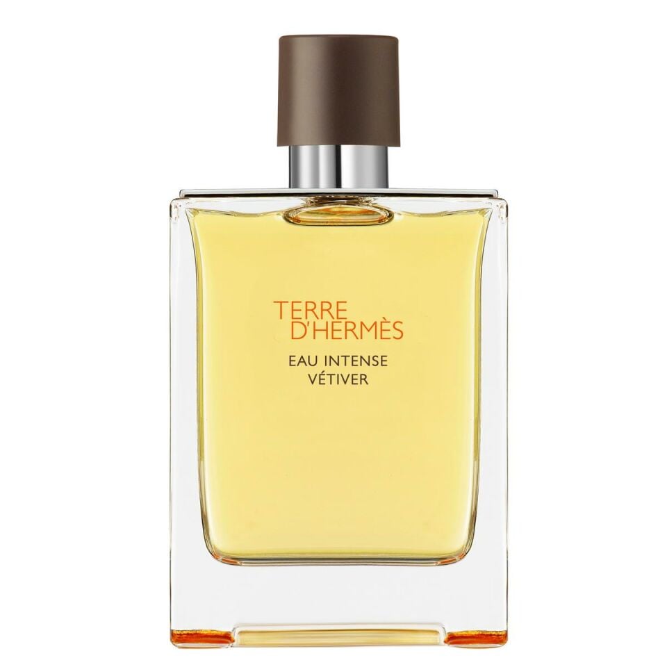 Terre d'Hermès Eau Intense Vétiver, Eau de Parfum 200 ml