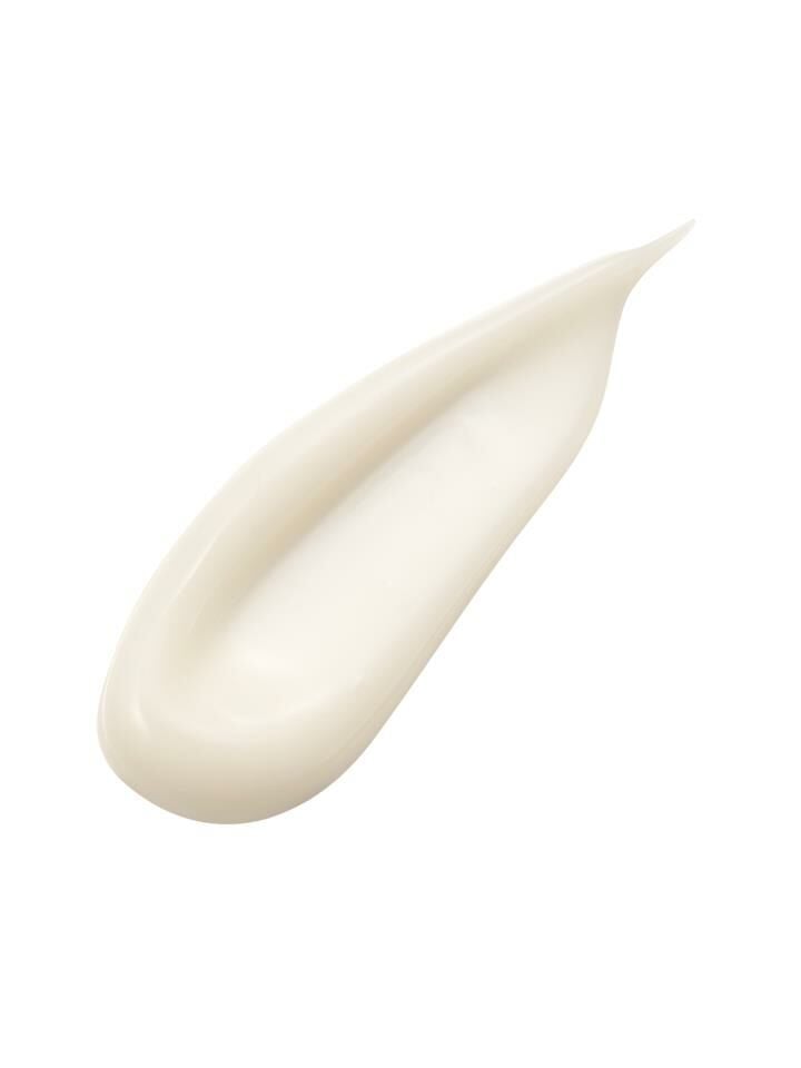 Absolute Silk Cream - İpek Özlü Yaşlanma Karşıtı Nemlendirici Krem 40 ml