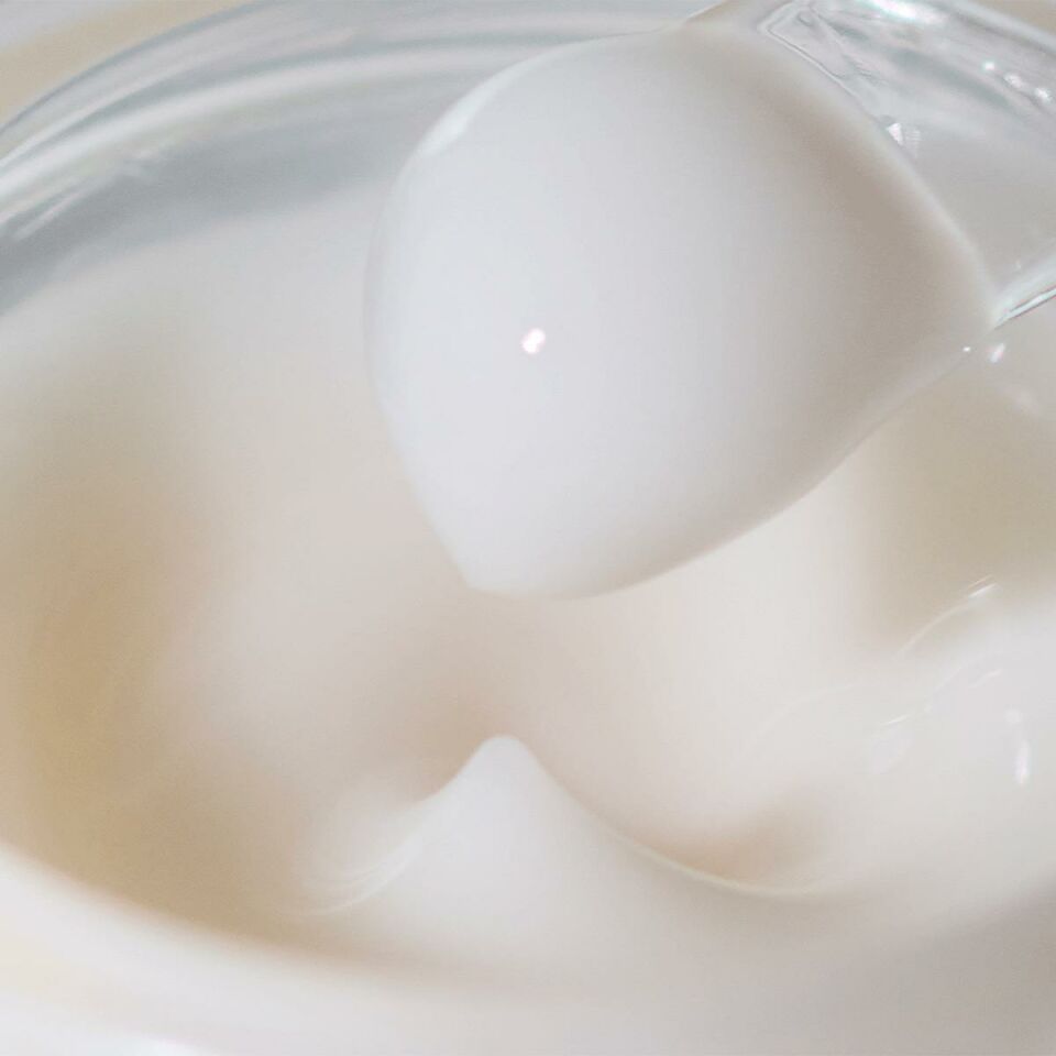 Absolute Silk Cream - İpek Özlü Yaşlanma Karşıtı Nemlendirici Krem 40 ml