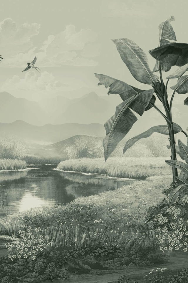 Tranquil TP35-3 B&W