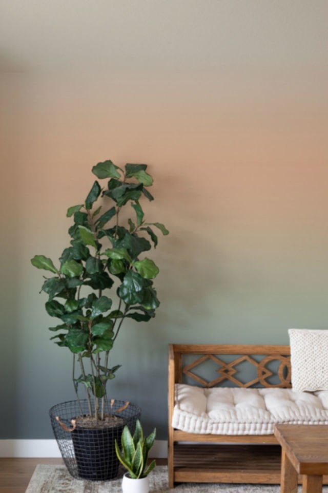 Ombre light