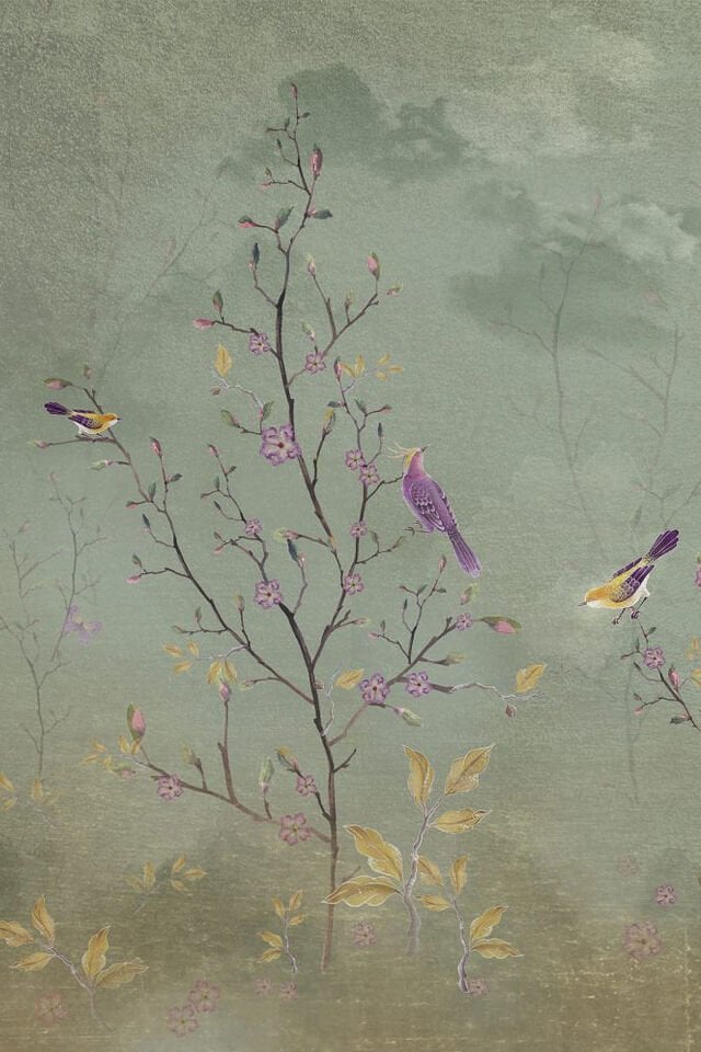 Misty spring