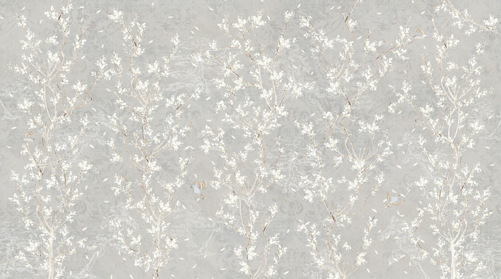 Blossoms