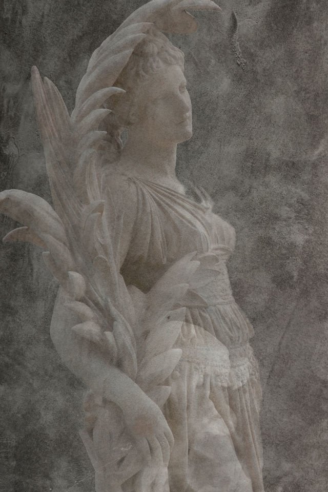 Timeless beauty