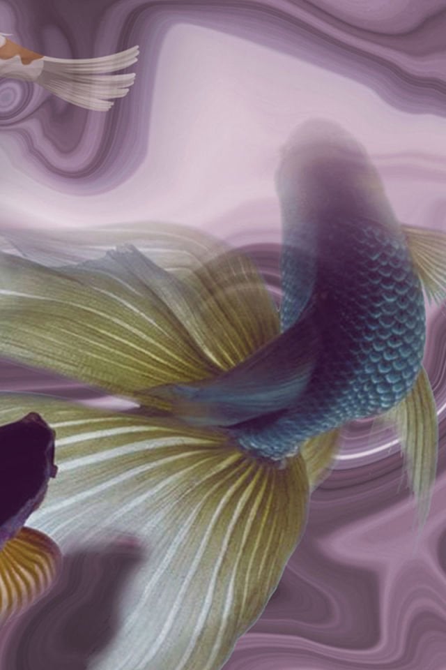 Pearl fairy