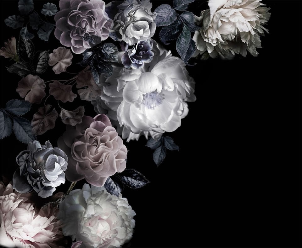Night flower