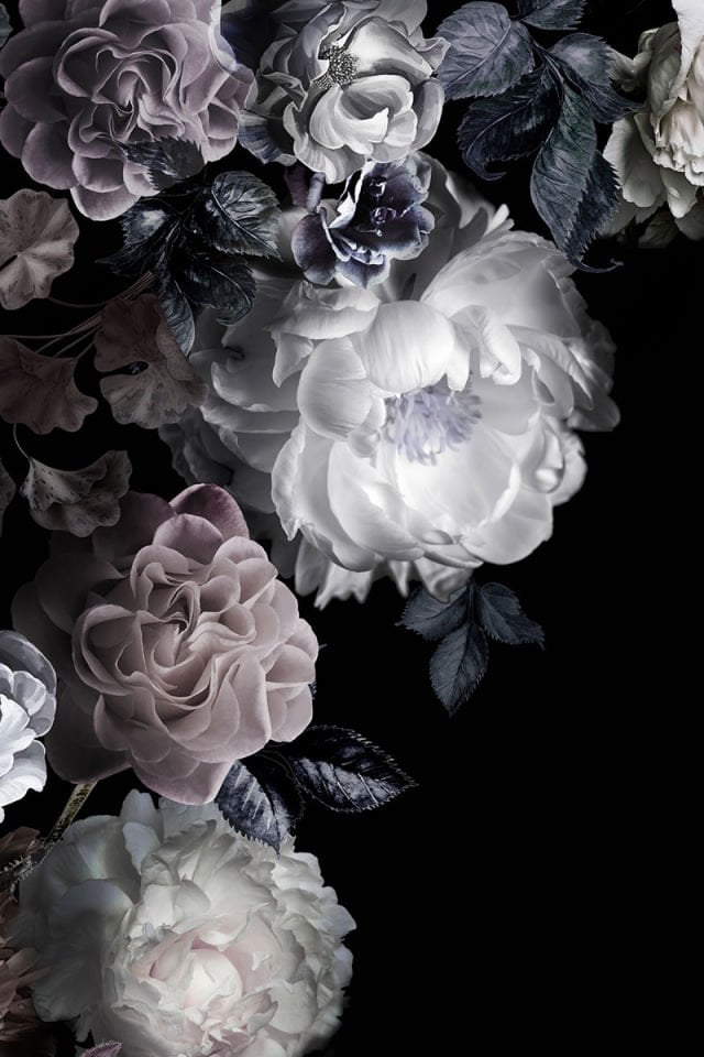 Night flower