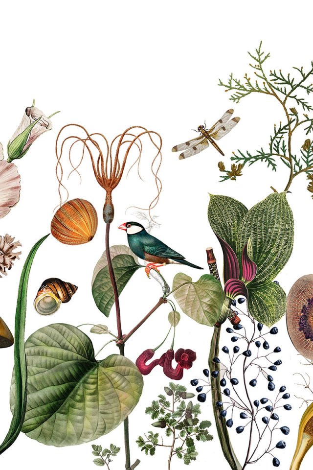 Botanic
