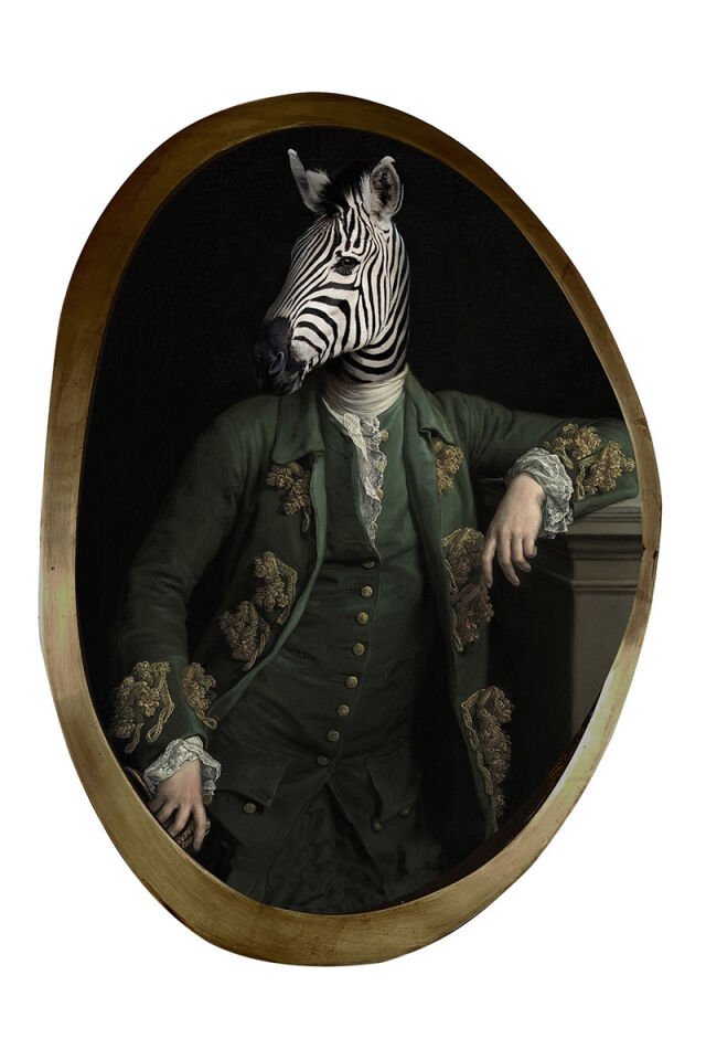 Aristocratic animals zebra