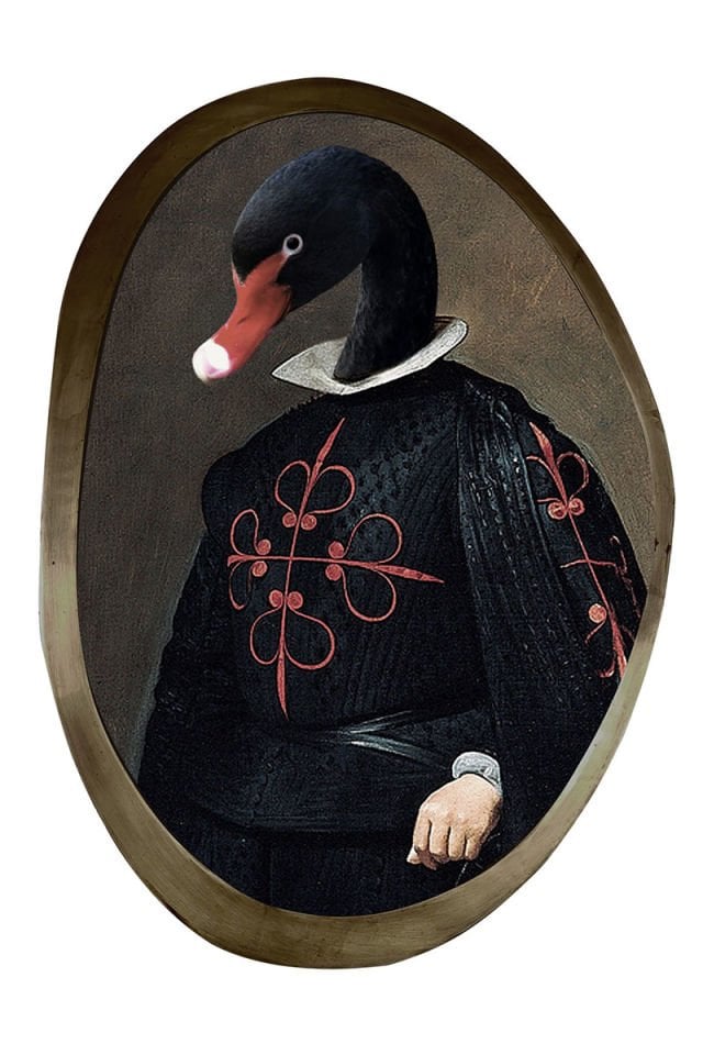 Aristocratic animals duck