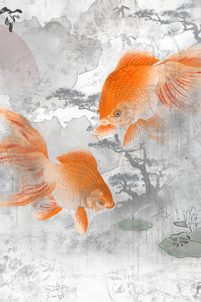 Baby fish
