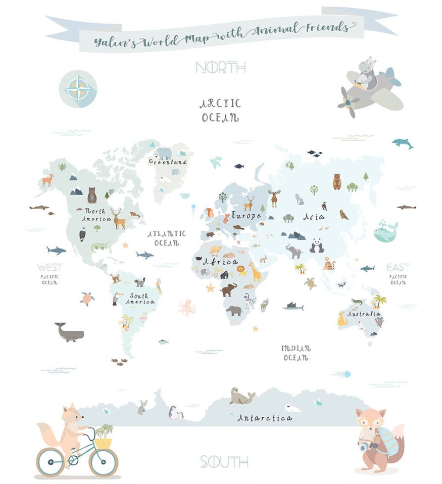 World of animals