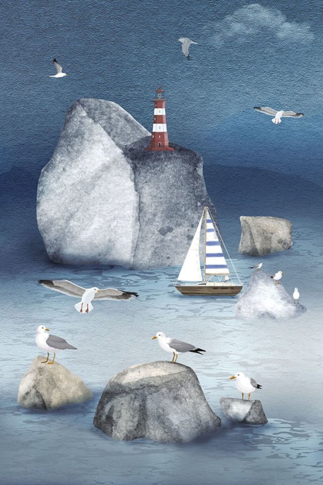 Seagulls