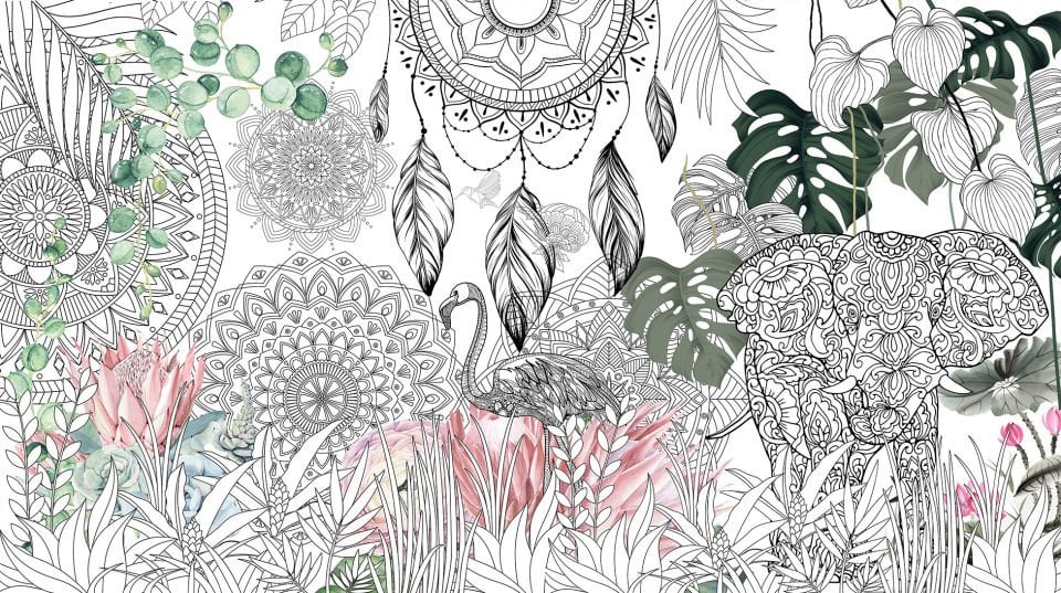 DREAM CATCHER