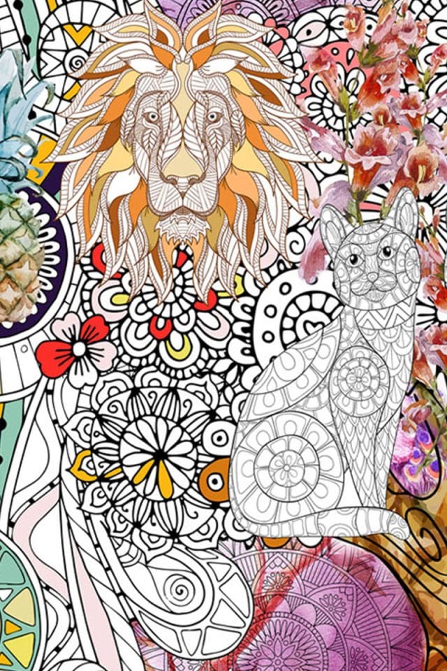 Colorful meow