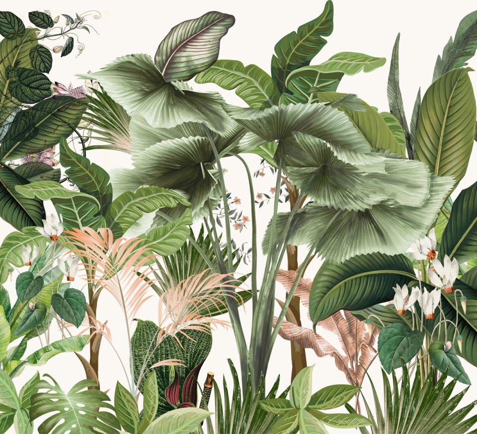 My Jungle