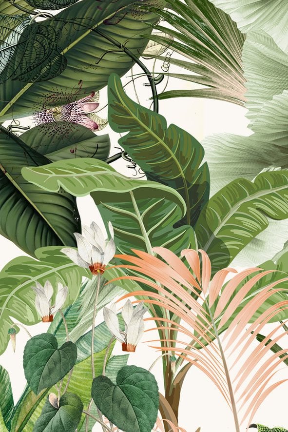 My Jungle