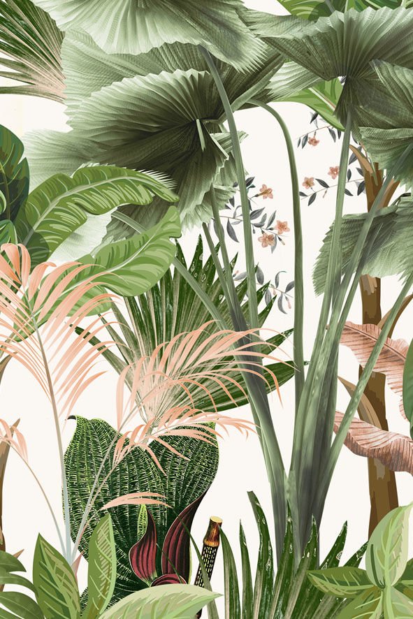 My Jungle