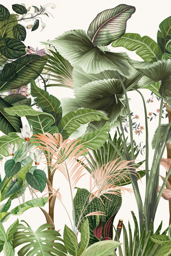 My Jungle