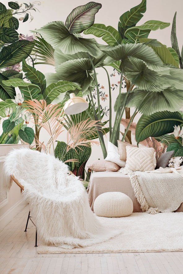 My Jungle