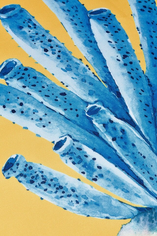 Corallo blu