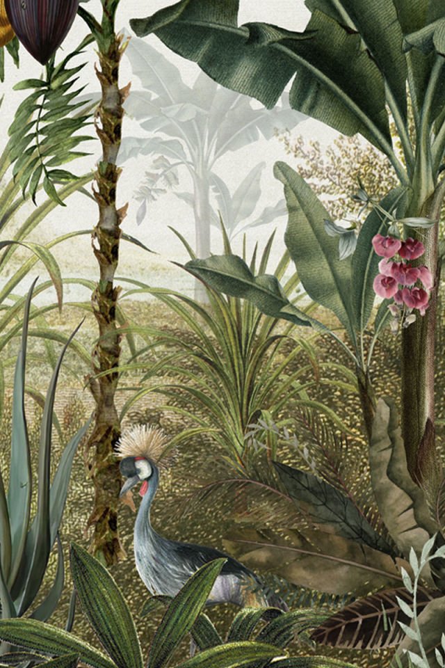 Wild leaves