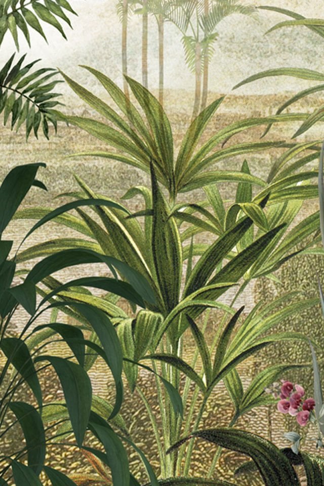 Wild leaves