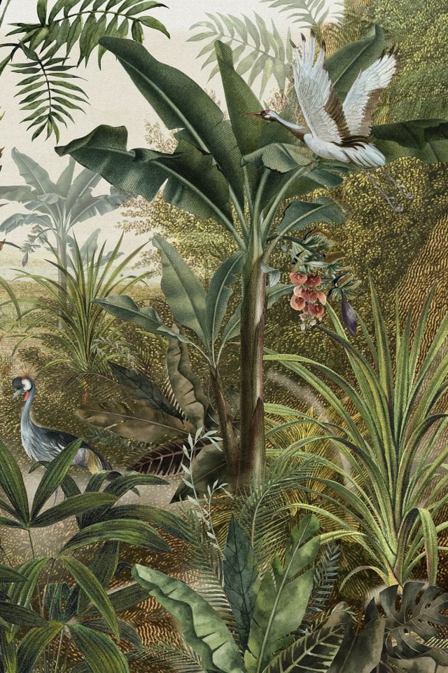 Wild leaves