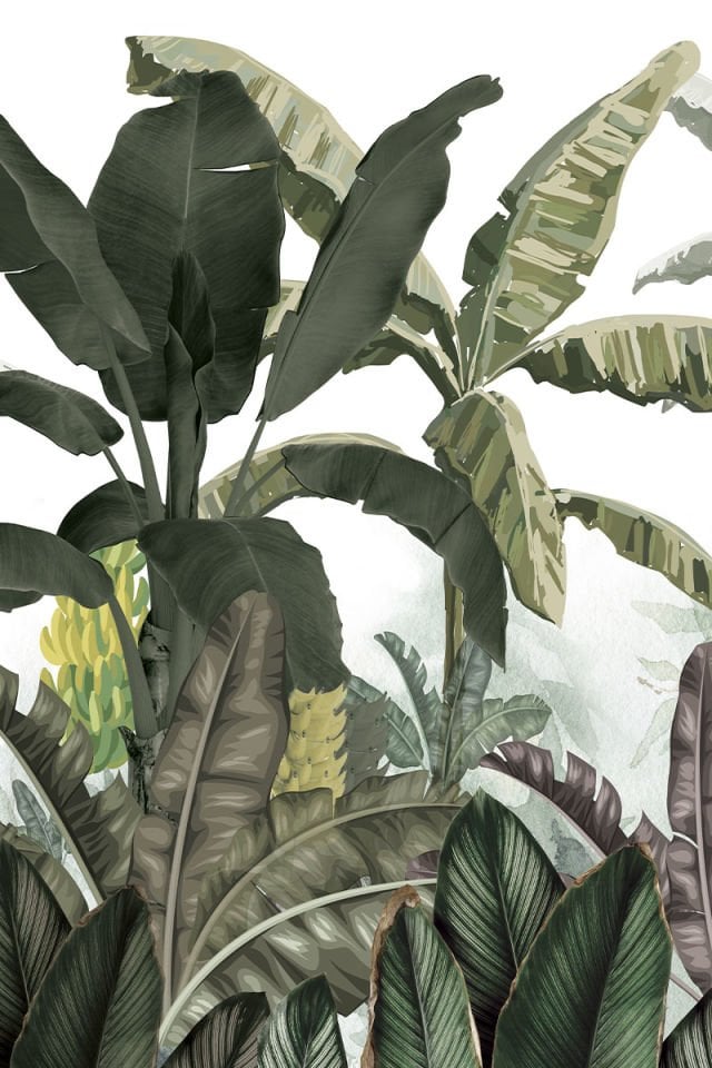 Tropical breeze