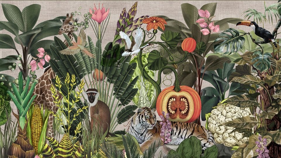 Wild nature