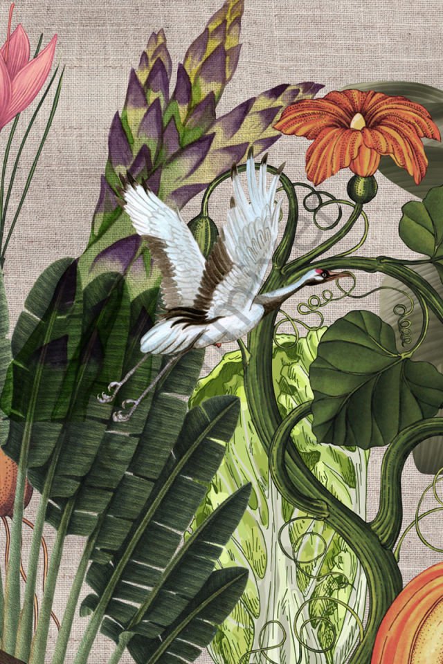 Wild nature