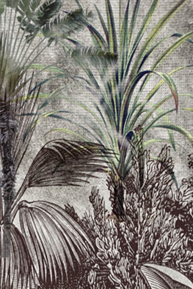 Leaves