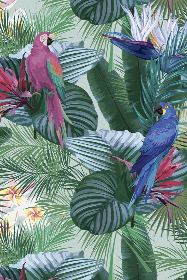Hidden paradise