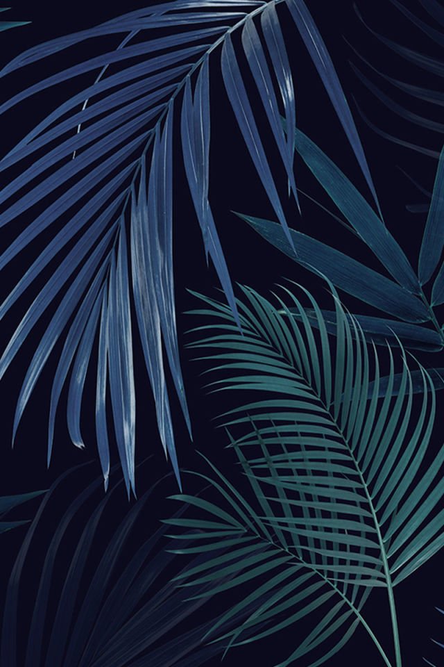 Coastal plants