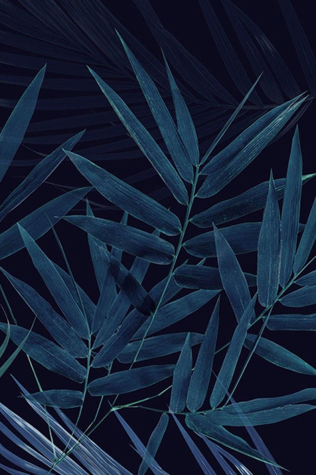 Coastal plants