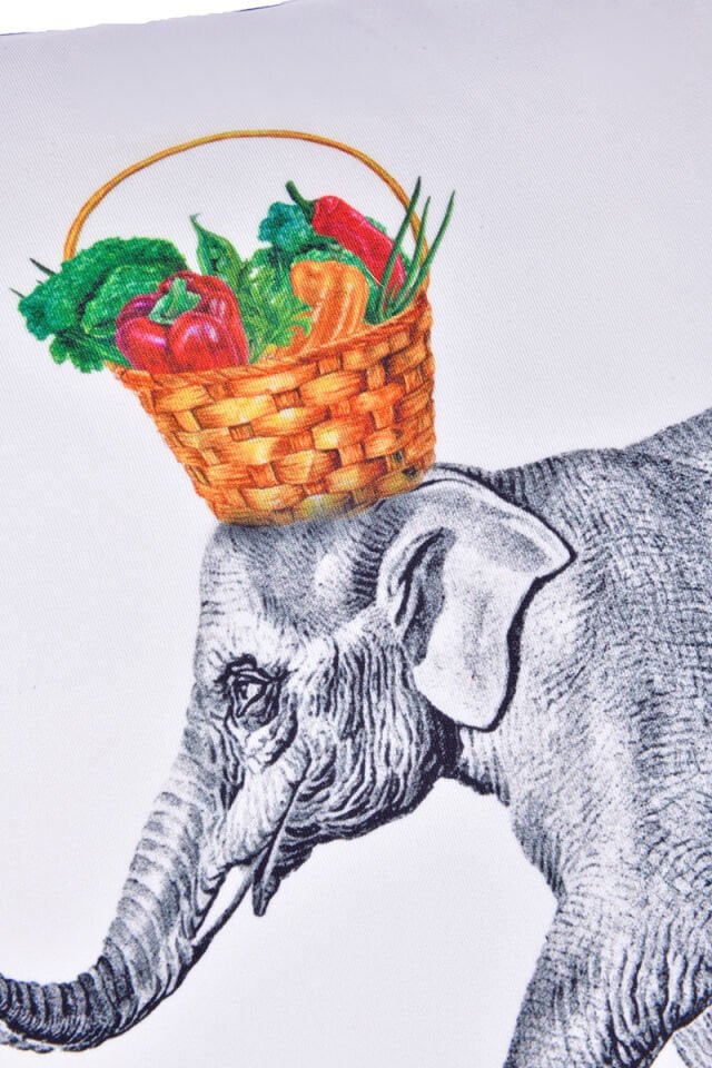 Grey elephant