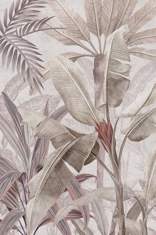 Softropic