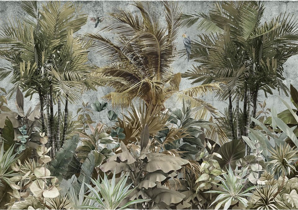 Safari