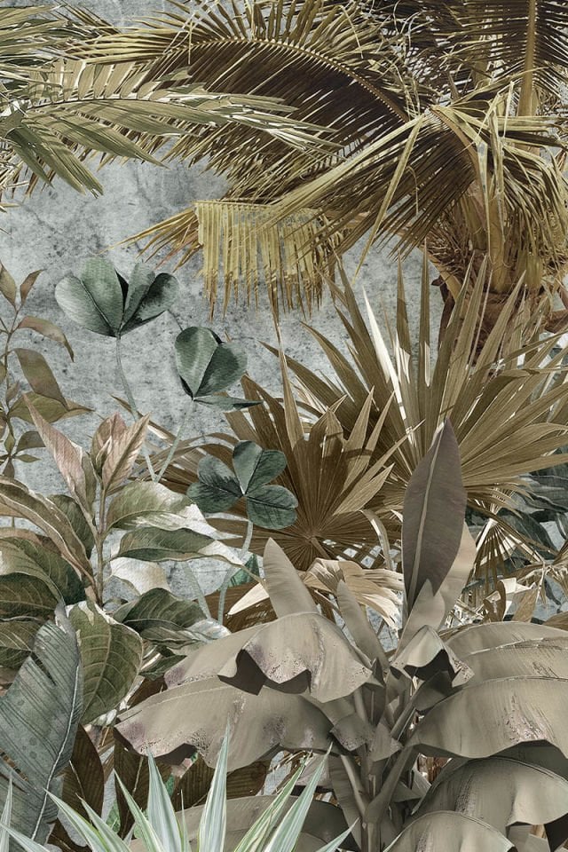 Safari