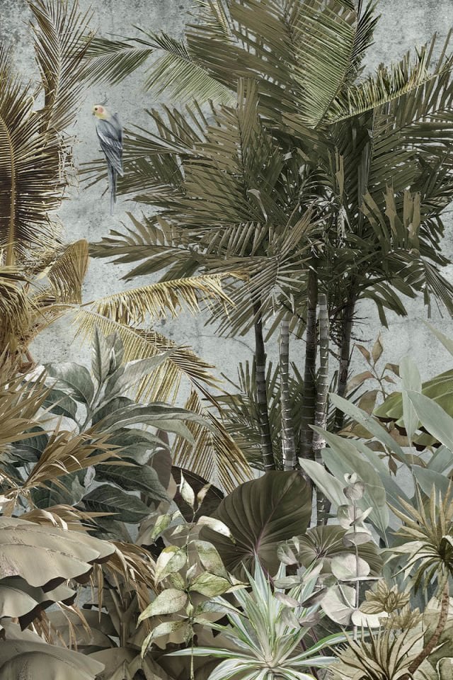 Safari