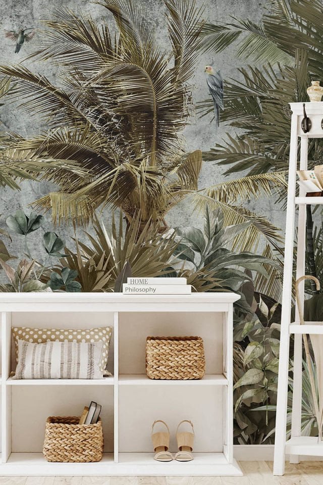 Safari