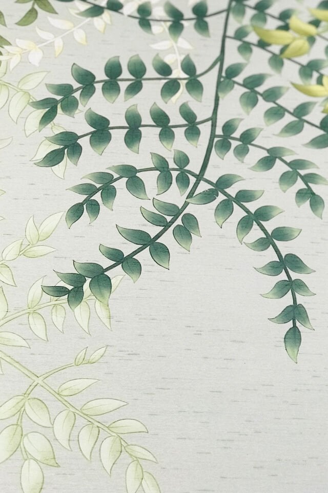 Fern Foliage